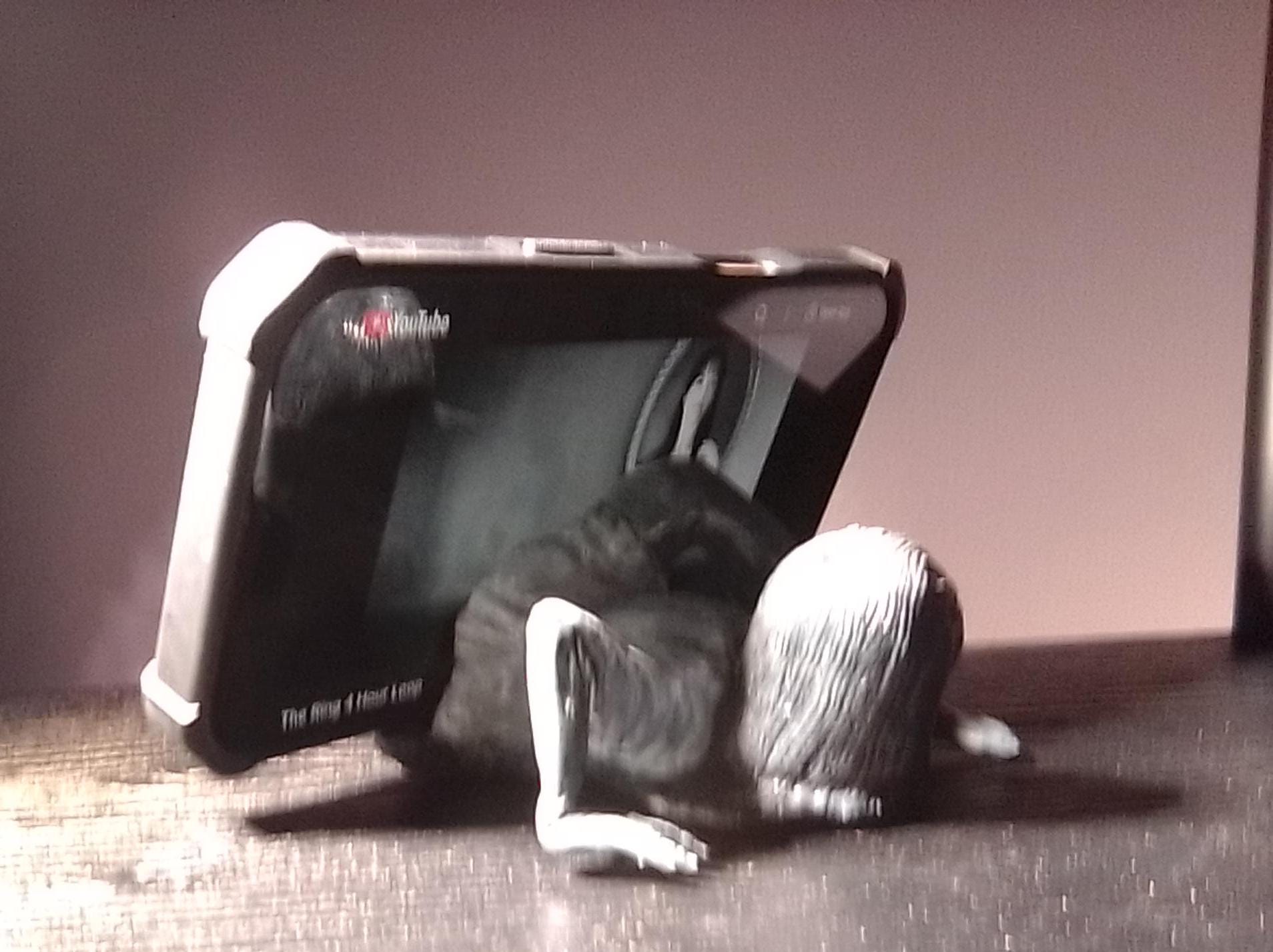 The Ring, Samara, Cell Phone Stand, 3D Print, Horror Collectible